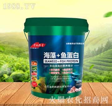 ����+�~����-���ԁ��