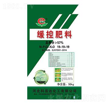 ���ط���19-19-19-�����_