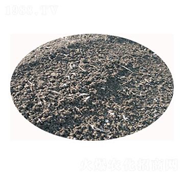 �u�S�ЙC�ʏS��-���S����