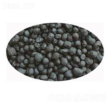 ���{�����ЙC��-���S����