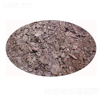 �u�S�l(f��)���ЙC��-���S����