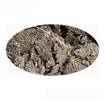 �ӱ����u�S-���S����