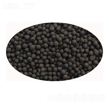 ʯ���f�ЙC�ʃr��-���S����