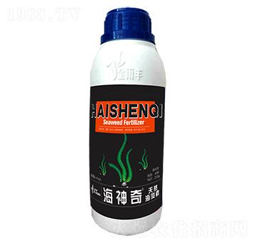 ������-�����S