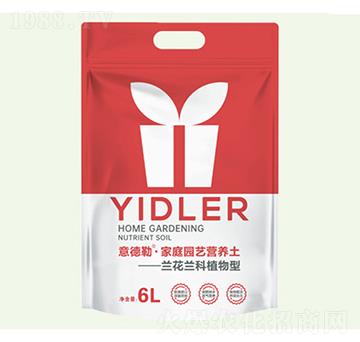 6L�m��ֲ���͈@ˇ�I(y��ng)�B(y��ng)��-���