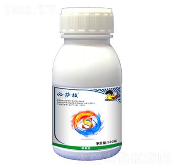 6%����ǲݰ����p����-��ɯ��-ӯ�x