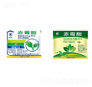 85%��ù��Y����-��������