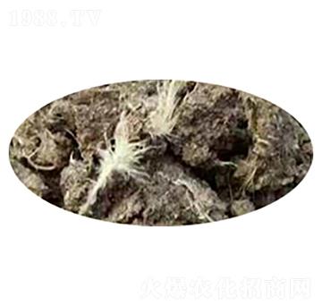 ���u�S-�ָ���