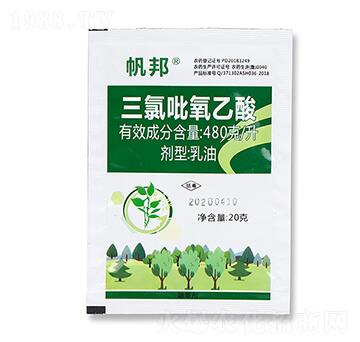 480��ÿ��������������-����-ϲ�S��