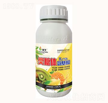 ����w������-���λ���