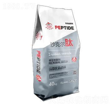 ΢�������-ɳ�ˠ���-�������r(n��ng)�I(y��)