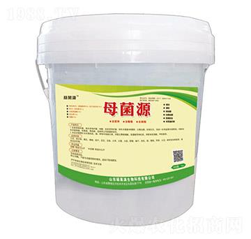 ĸ��Դ-�T���M����