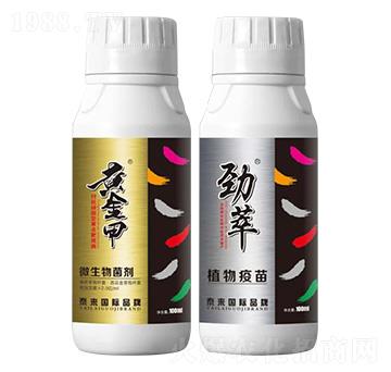 �S�c�а��pЧ�M��-̩����H