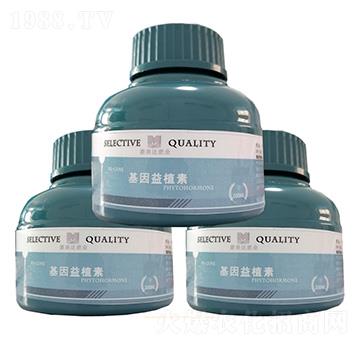 ������ֲ�� �ɊW�_