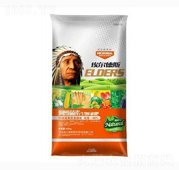 ���S���������ЙC��-ʢ�I(y��)