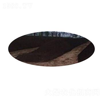 �{ݮ�ЙC�� �GԴ����