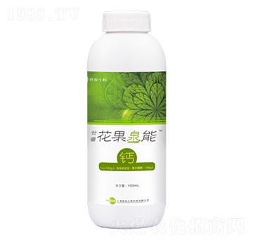 ��������Ȫ���}-�������