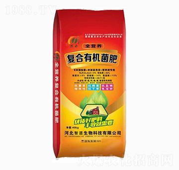 ��(f��)���ЙC(j��)����-�ǵ�