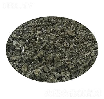 ���u�S-�f�Z���r(n��ng)�I(y��)