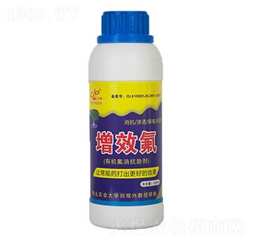 ��Ч�����r(n��ng)������-�_���r(n��ng)�I(y��)