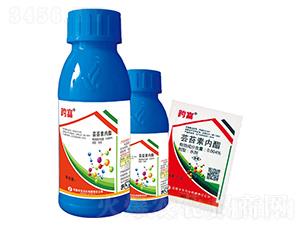 �|̦�؃�(n��i)֬-�縻-�S��(l��)�ʘI(y��)