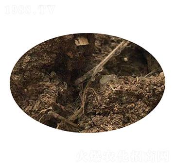 ���u�S-��Ұ�ʘI(y��)