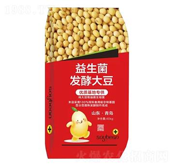 �������l(f��)�ʹ�-���r(n��ng)�Z��