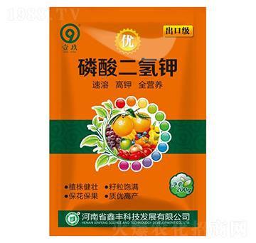 ��������-���S�Ƽ�