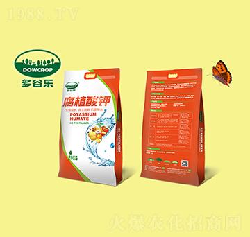 �ߺ�����ֲ��⛷�ĩ-��Ș�(l��)