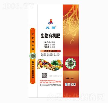 �����ЙC��-���-����ʘI(y��)