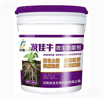 �l(f��)��ţ΢�������-�l(f��)��