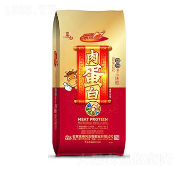 �⵰��-���L(f��ng)����