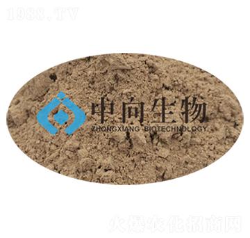 �ЙC(j��)�ʰl(f��)�̈́�-��������