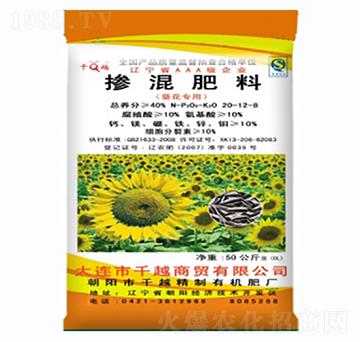 �������Ó������20-12-8-ǧԽ