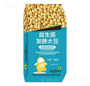 �������l(f��)�ʹ󶹣�40kg��-���Z��