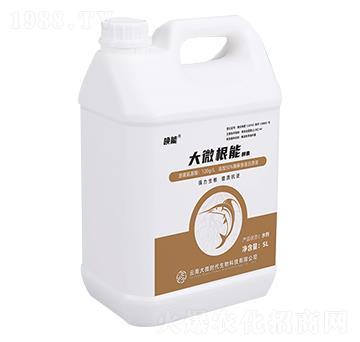 ��΢���ܽ���-����-��΢�r(sh��)��