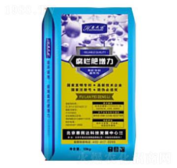 ����������-�����_