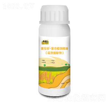 �ͺ�ֲ�ﾫ��-������-�M������