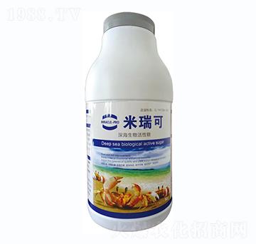 ����������-�����-��(y��u)�{��