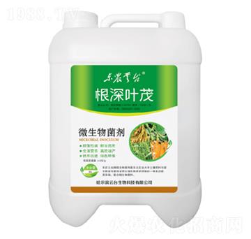 ΢�������-�����~ï-���_(t��i)