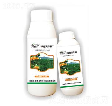 ̼���x���}-���ؠ�