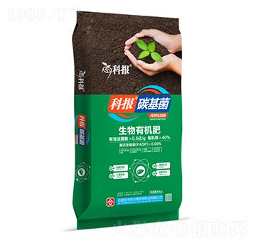 �����ЙC(j��)��-�ƈ�-���r(n��ng)�d̩