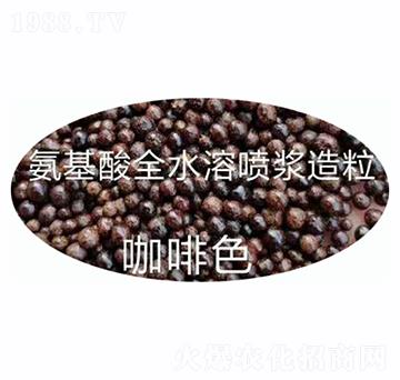 ������ȫˮ�ܣ�����ɫ��-ʩ����