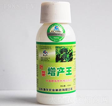 �~�����a��-���A�r�I(y��)