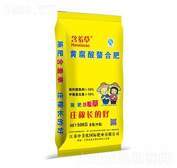 �S�������Ϸ�-���߲�-������