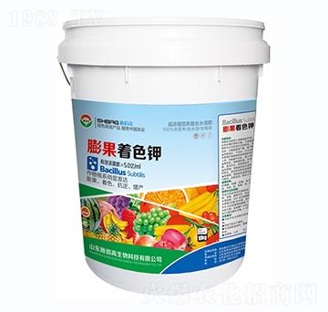 �����ɫ�-ʩ�۸�