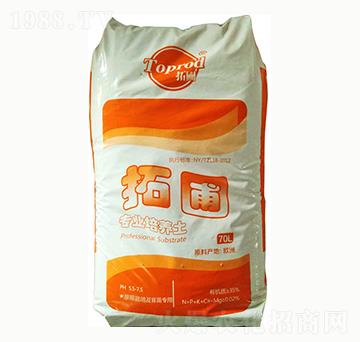 70L��ݮ���༰���猣��-����-���ȶ�