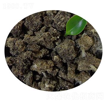 �����u�S�K-�T������