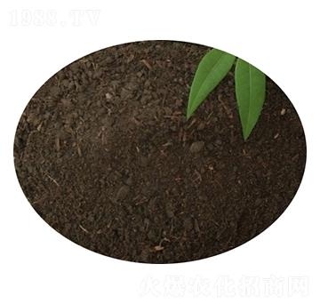 ţ�S��-�T������