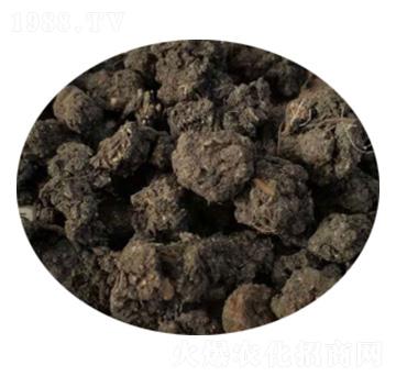 ���w���u�S-ʥ������